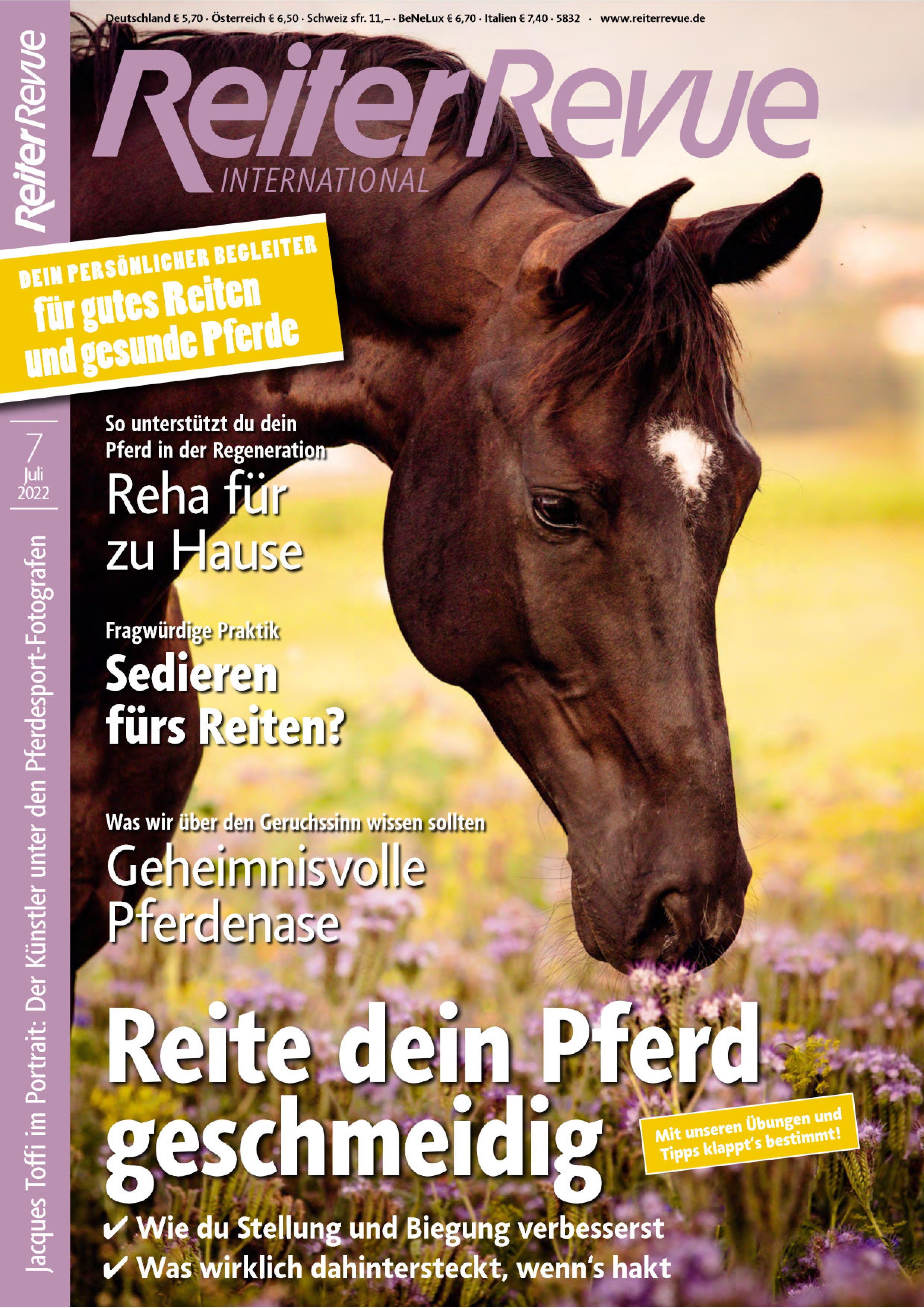 Reiter Revue Artikel Deckblatt.jpg